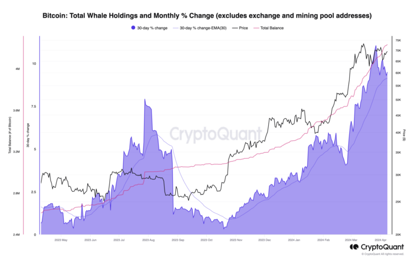 Tenencias de ballenas Bitcoin.