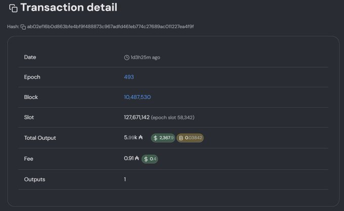 Inicio del ataque DDoS contra Cardano (ADA)