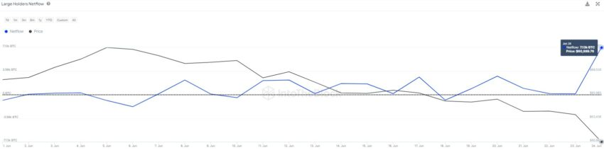 Gráfico del patrimonio neto de los principales holders de Bitcoin
