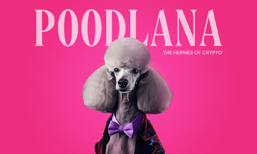 Lanzamiento de Poodlana: El token de moda que causa furor en Asia