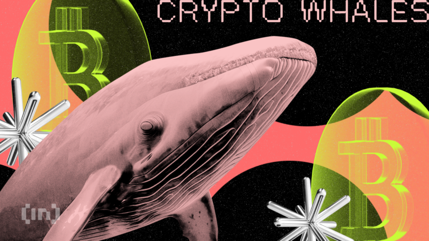 Las ballenas compraron $5,400 millones de Bitcoin (BTC) en julio