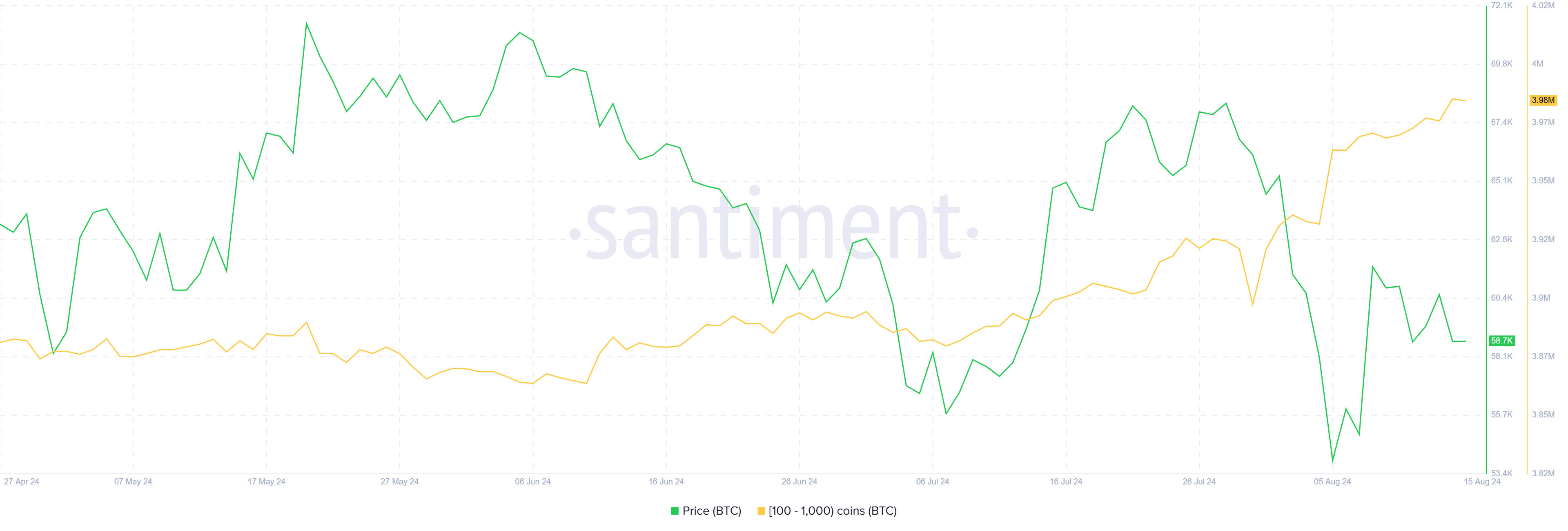 Holdings de las ballenas Bitcoin
