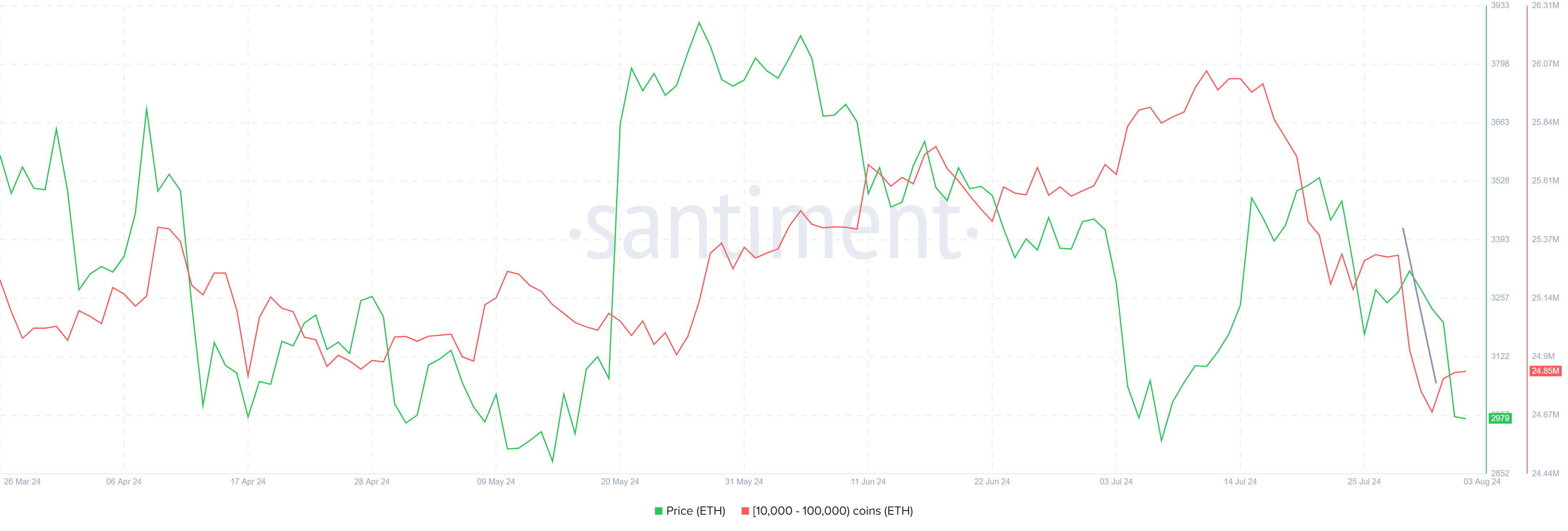 Holdings de las ballenas Ethereum