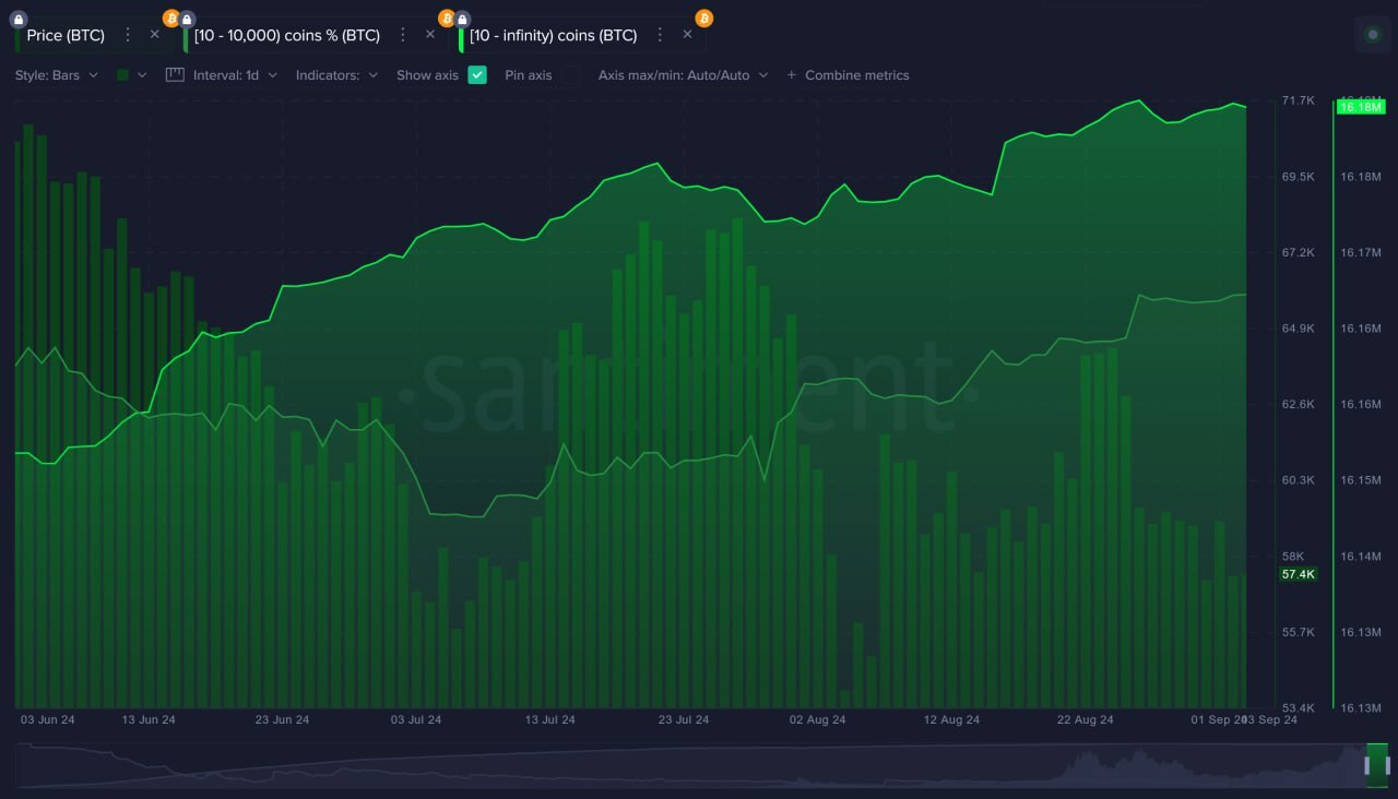 Actividad de las ballenas de Bitcoin.