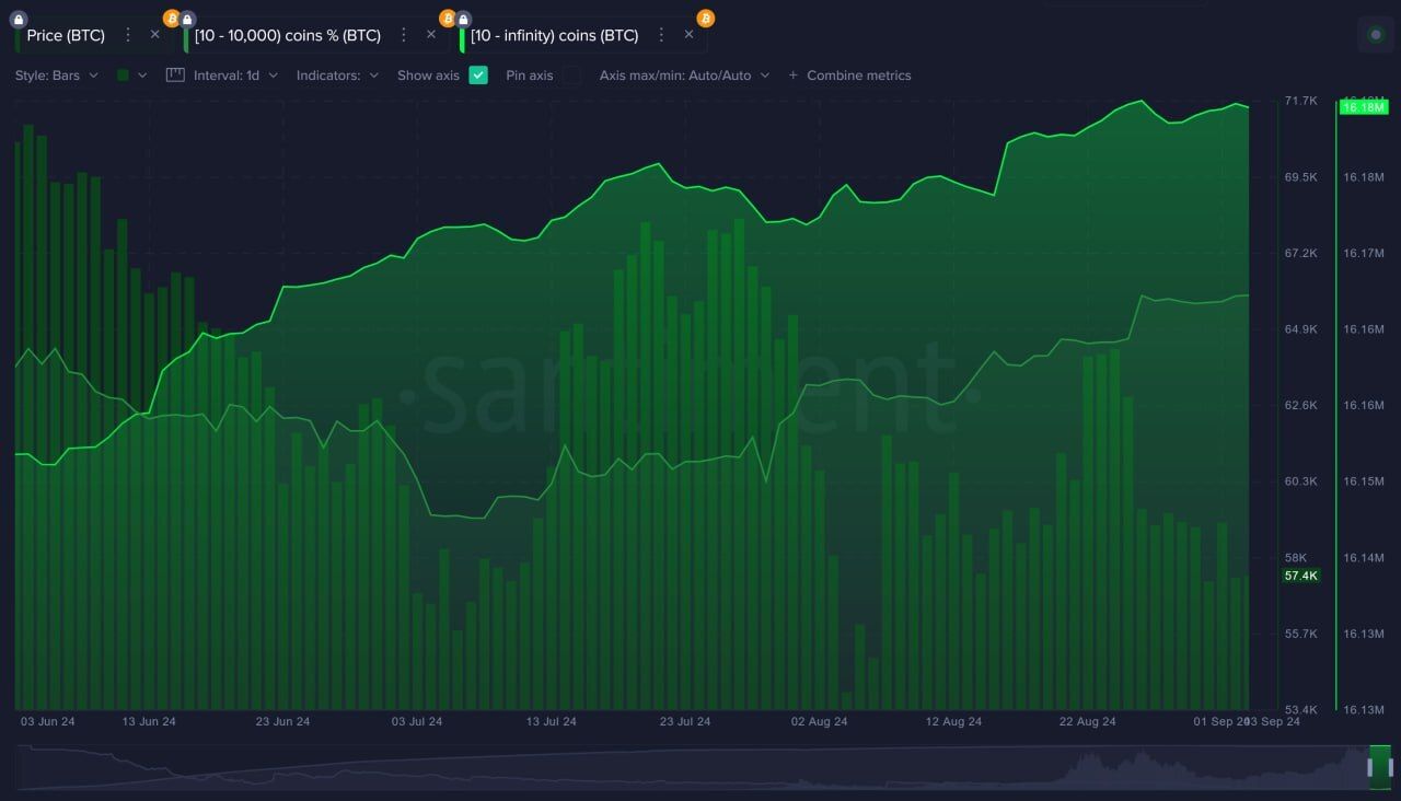 Actividad de las ballenas de Bitcoin.