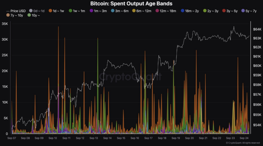 Las ballenas han movido los viejos BTC, gracias a su recuperación de precio.