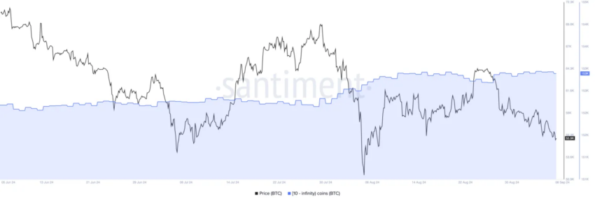 Ballenas de Bitcoin.