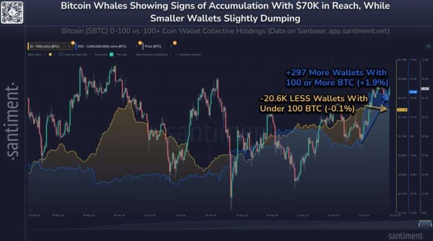 Monederos de ballenas de Bitcoin.