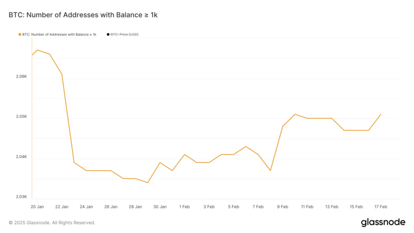 Número de direcciones que contienen al menos 1000 BTC.