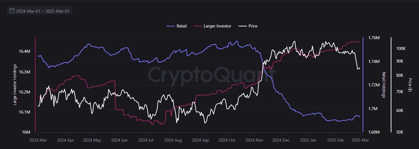 Tenencias de Bitcoin de Inversores Minoristas y Grandes Inversores