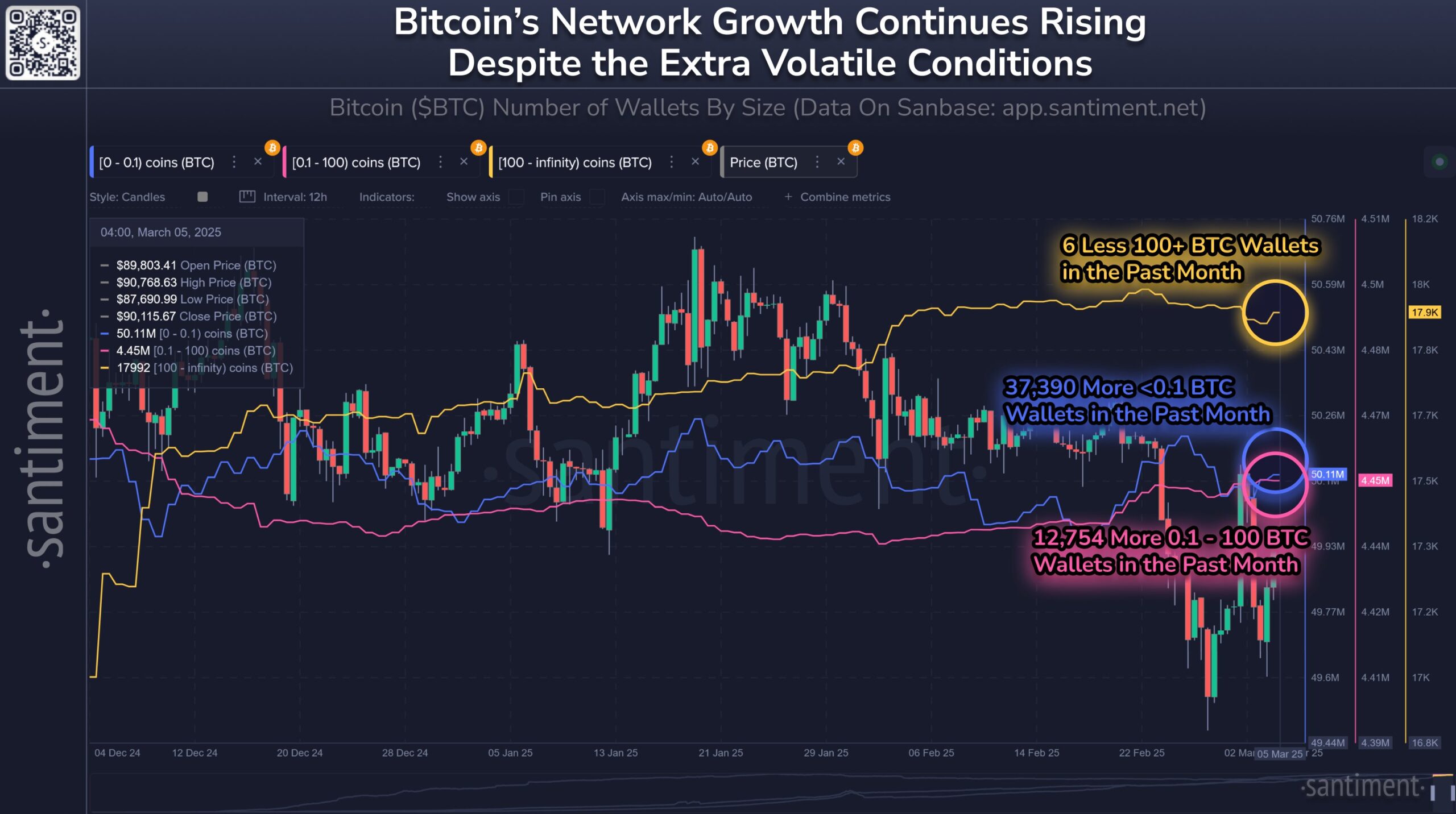Holders STH de Bitcoin