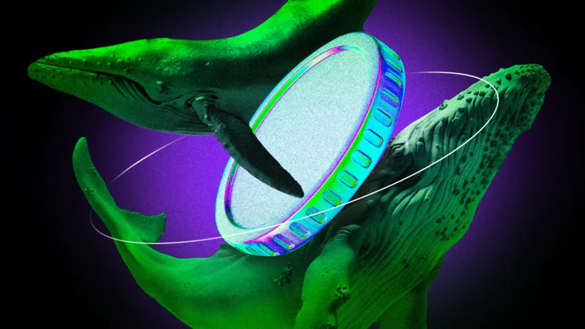 ¿Cuáles altcoins compraron las ballenas durante la cuarta semana de mayo de 2025?