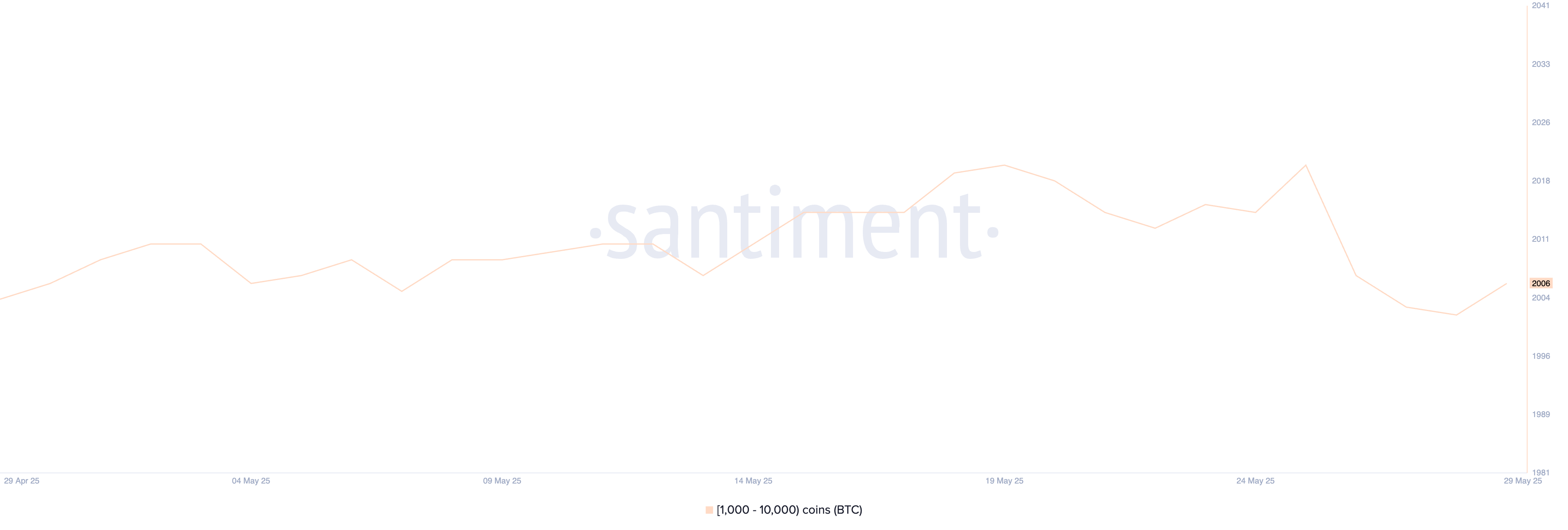 Ballenas de Bitcoin.