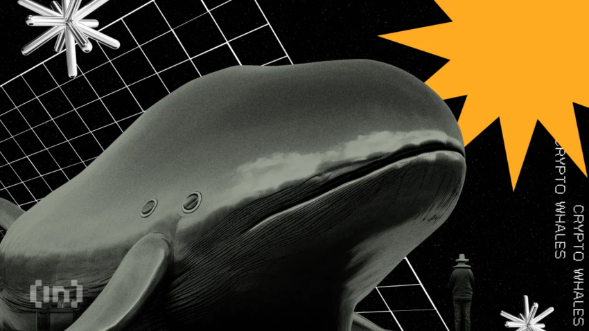 Ballenas compran más de $1 mil millones en XRP: ¿Se cocina un nuevo máximo histórico?