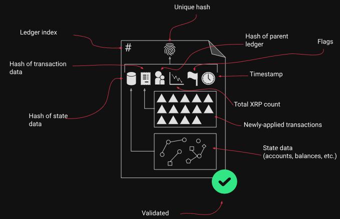 Estructura de consenso de XRP Ledger. Fuente: XRPL