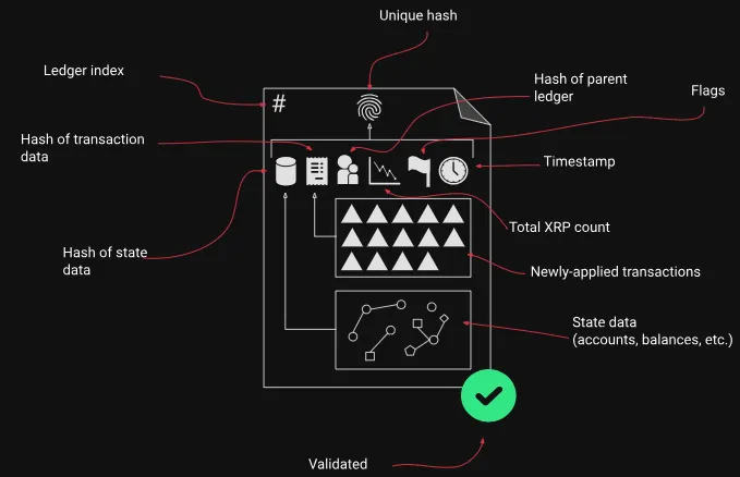 Estructura de consenso de XRP Ledger. Fuente: XRPL
