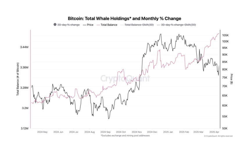 Las tenencias de Bitcoin entre las ballenas han aumentado desde febrero.