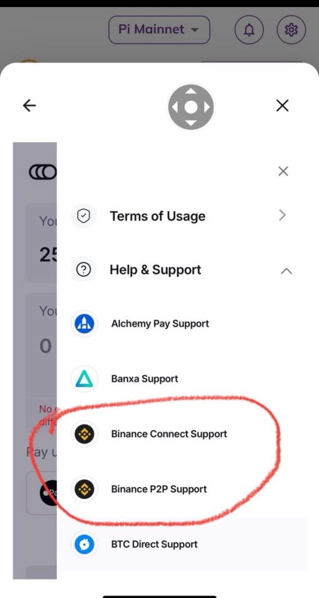 Opciones de Soporte de Binance en Pi Wallet.