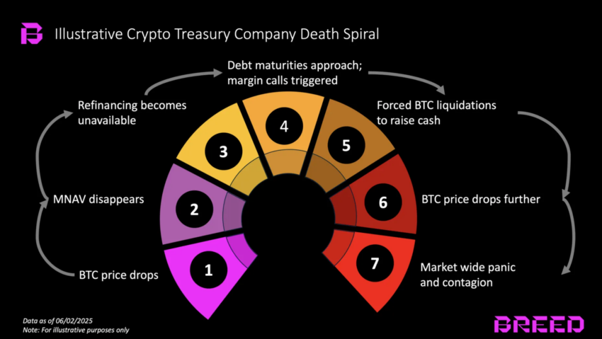 Las diferentes etapas de la espiral descendente de Bitcoin.