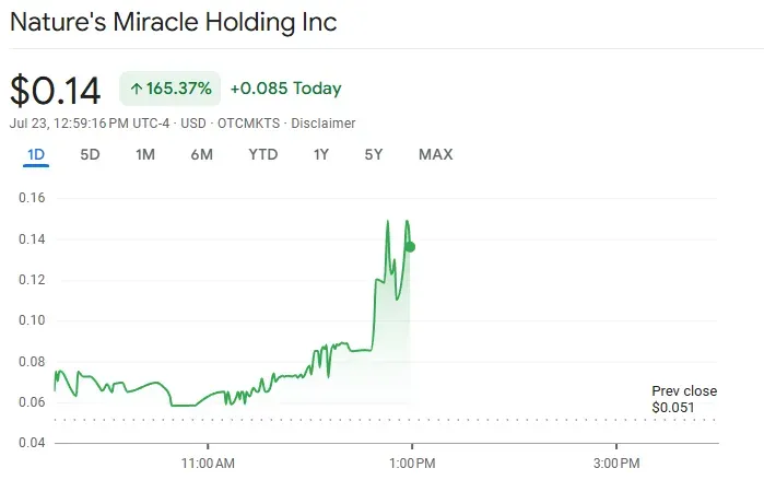 Gráfico del precio de las acciones de Nature’s Miracle. Fuente: Google Finance
