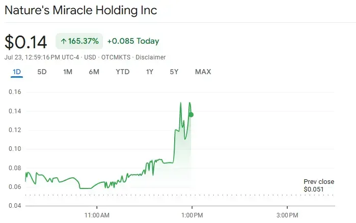 Gráfico del precio de las acciones de Nature’s Miracle. Fuente: Google Finance