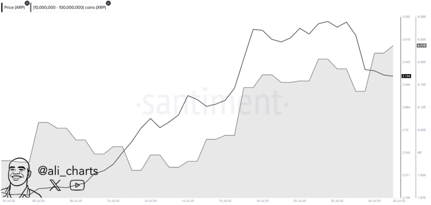Análisis del precio de XRP - Ballenas. Fuente: X/@ali_charts