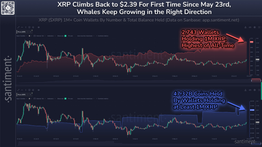 Métricas on-chain de XRP. Fuente: X/@santimentfeed