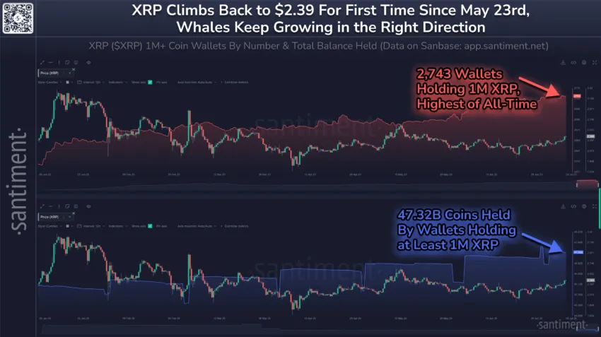 Métricas on-chain de XRP. Fuente: X/@santimentfeed