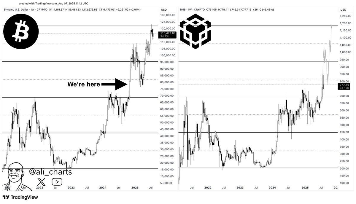 Predicción de precio de BNB. Fuente: Ali