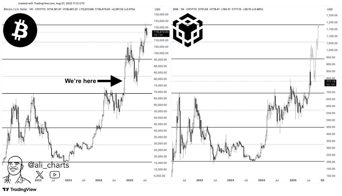 Predicción de precio de BNB. Fuente: Ali