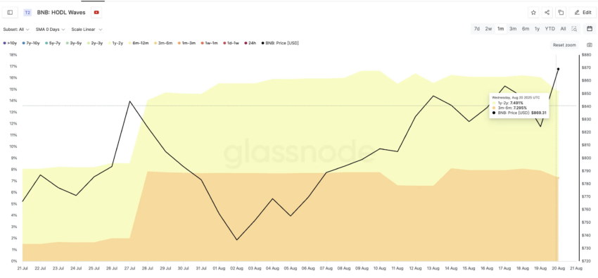 Precio de BNB y HODL Waves: Glassnode