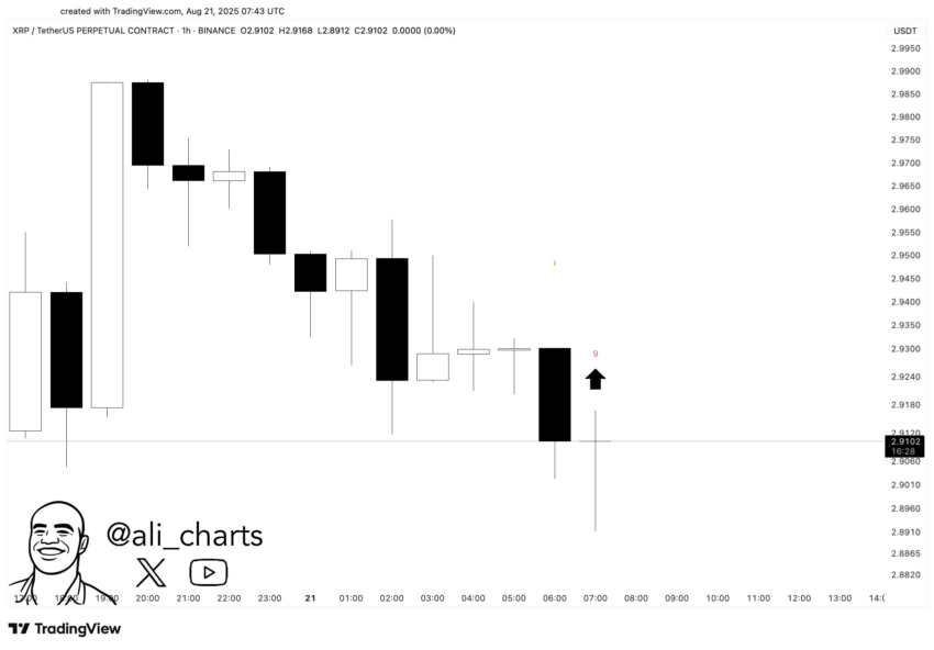 El indicador TD Sequential genera señal de compra en el gráfico horario de XRP. Fuente: X/@ali_charts