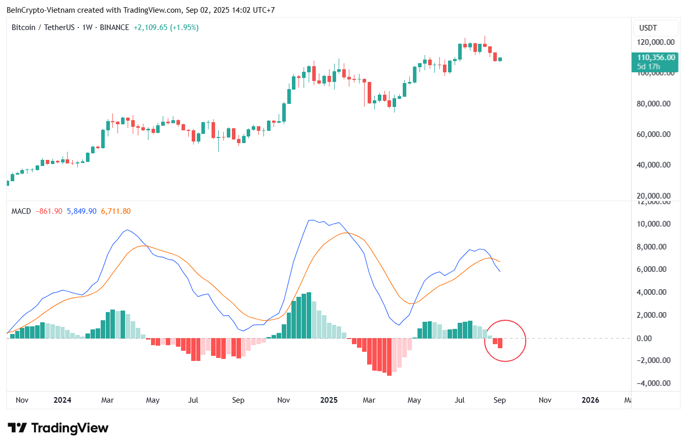 Precio de Bitcoin & Indicador MACD. Fuente: TradingView.